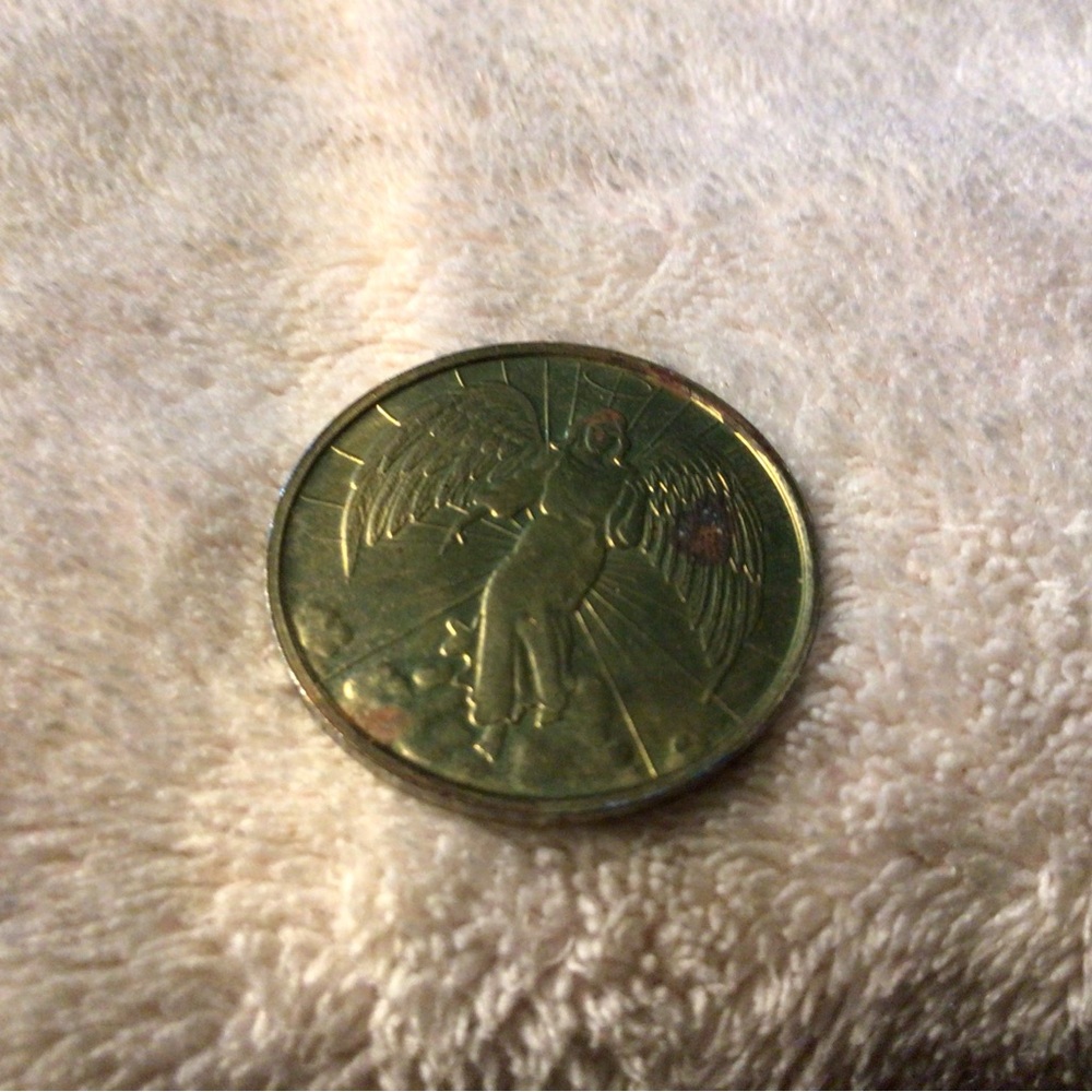 Decorative Small Pet Habitat Coin - Gold Tone